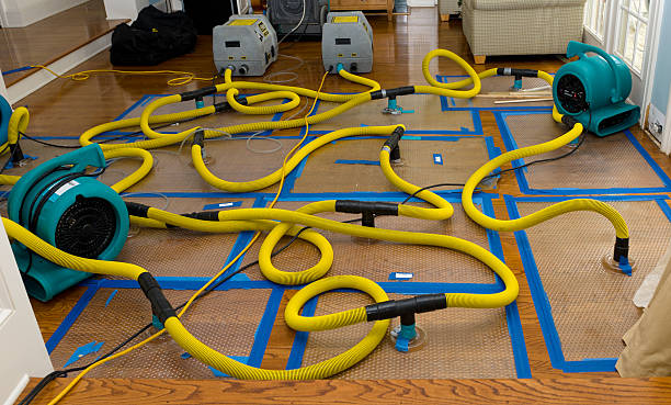 Professional Storm Water Damage Restoration technician working in Howard Lake, MN